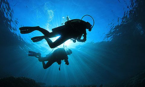 diving-04