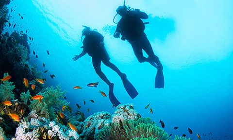diving-06