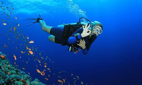 open-dive-v1